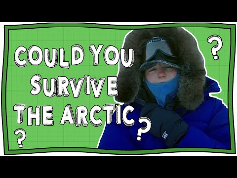 Could You Survive Living in the Arctic? | Serious Arctic | Nugget