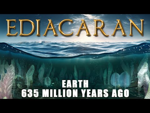 The Ediacaran Period - Earth 635 Million Years Ago-The Enigmatic Life of the Ediacaran